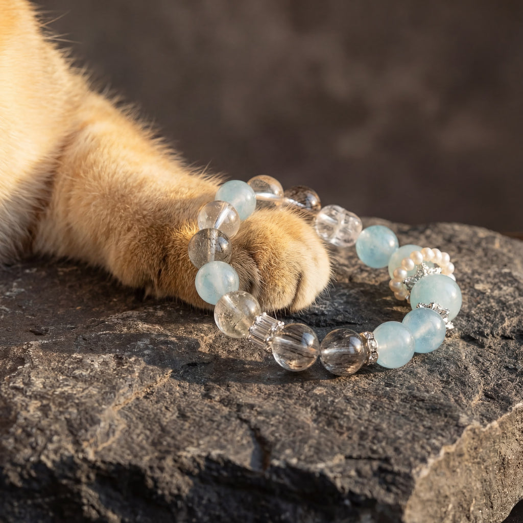 Z03 Glacial Vox bracelet ringed around an orange cat's paw on dark stone