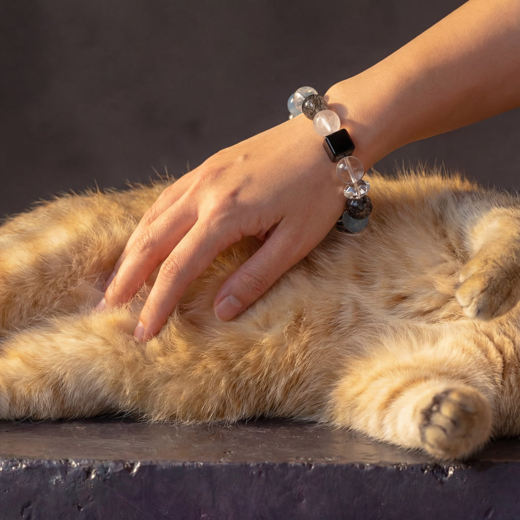Z01 Ferro Barrier bracelet worn on the wrist while petting an orange cat